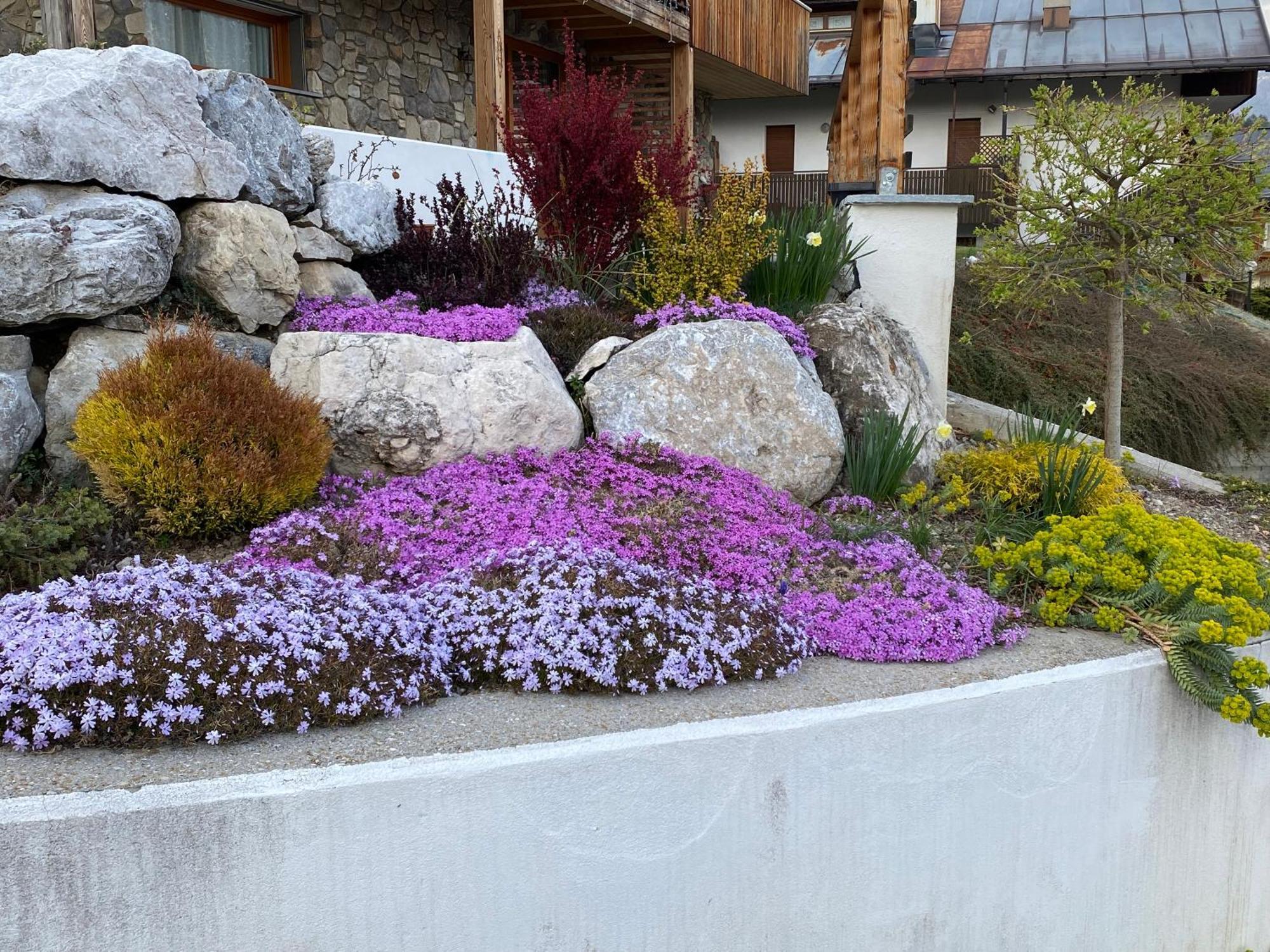 Ferienwohnung Reggia Al Sole Pieve di Cadore Exterior foto